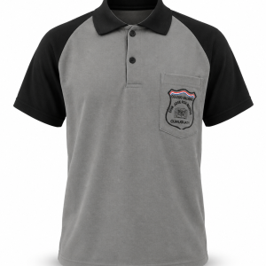 Remera Colegio Roa Benítez 2026